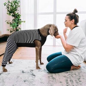 Kuoser Dog Recovery Suit for Post-Surgery NWT Black/White Striped Onesie Size XL